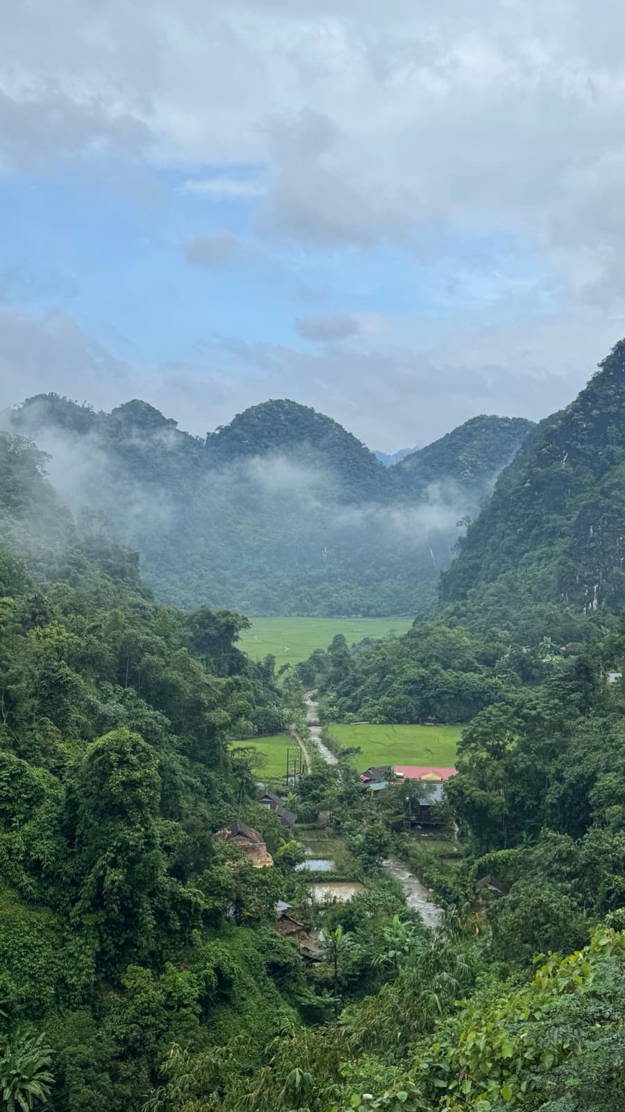 Lush green karst valley wrapped in morning mist
