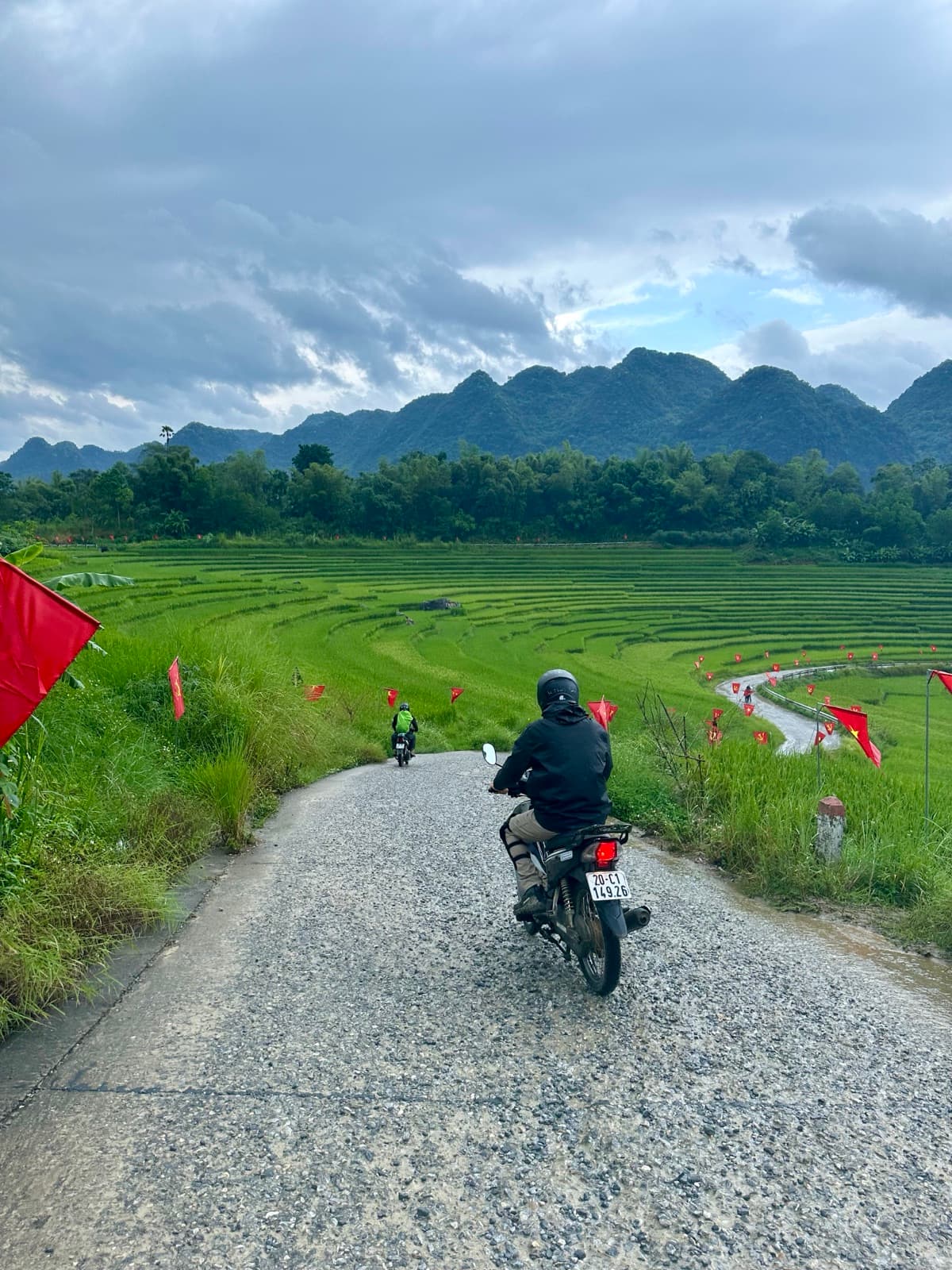 Riding a country road through bright green rice fields