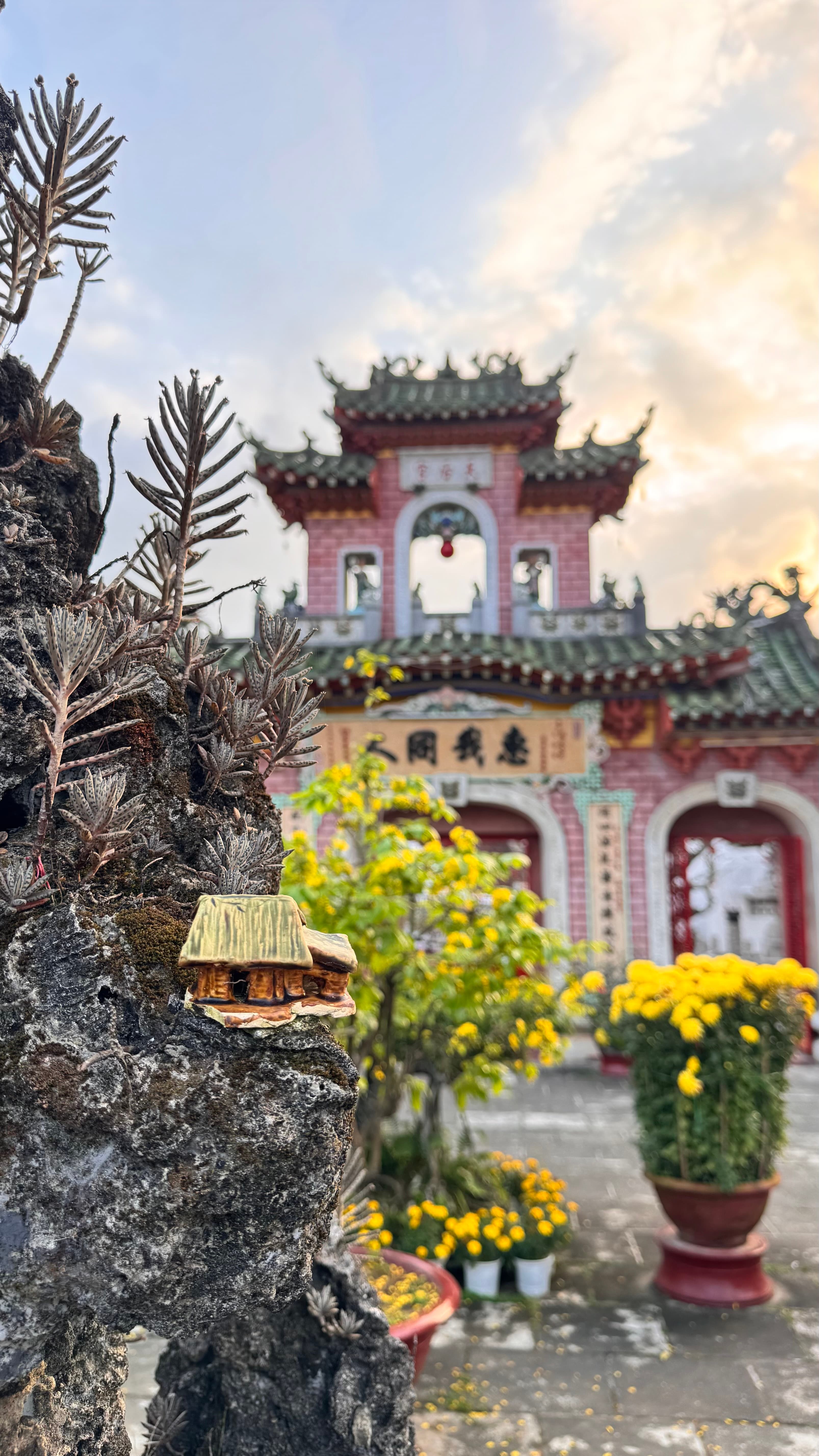 The Fujian Assembly Hall framed by yellow chrysanthemums at golden hour in Hội An