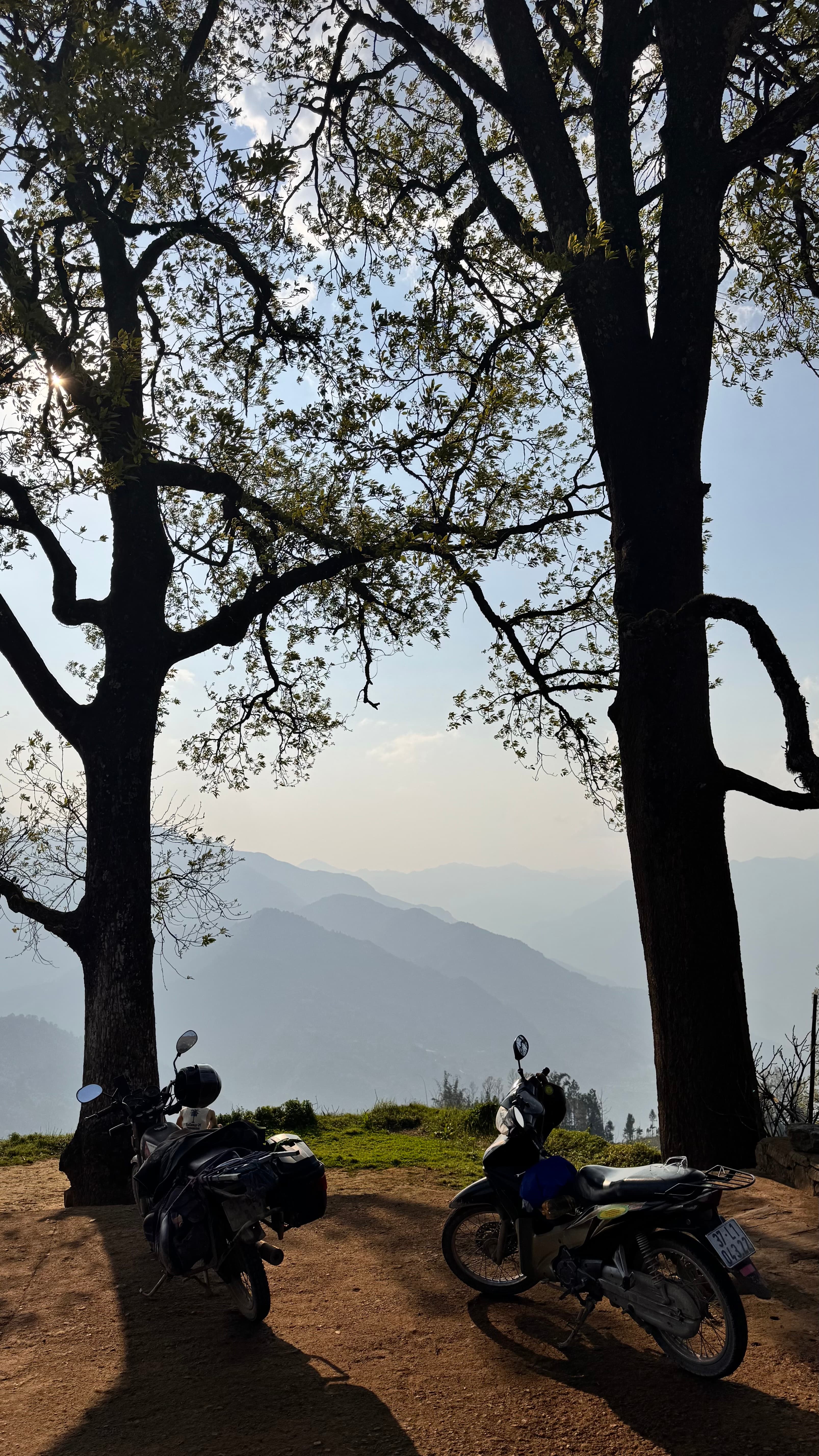 Motorbikes parked under bare trees on a hazy mountain overlook in Y Tý
